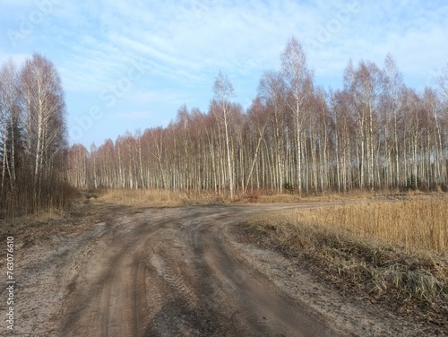 Road in forest in Siauliai county during cloudy early spring day. Oak and birch tree woodland. cloudy day with white clouds in blue sky. Bushes are growing in woods. Sandy road. Nature. Miskas. 