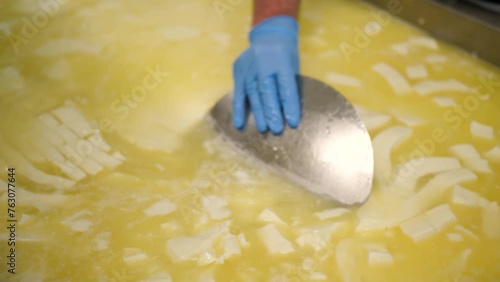 forming cheese in milk whey; cheese making. Close-up of Mixing cheese mass