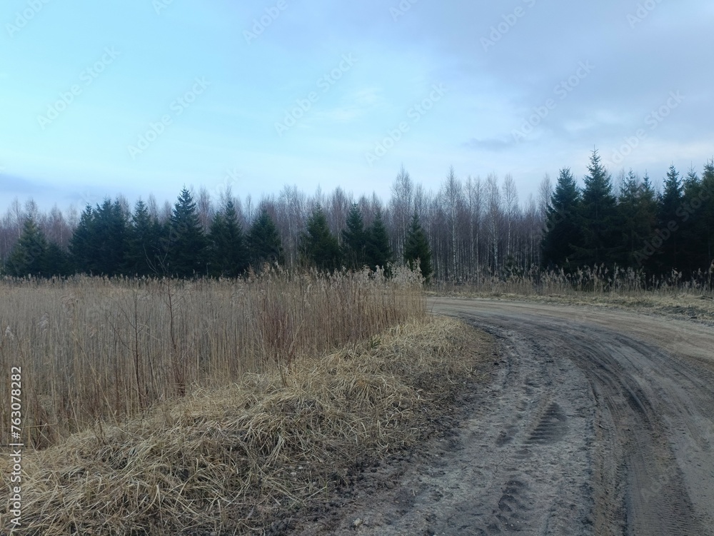 Road in forest in Siauliai county during cloudy early spring day. Oak and birch tree woodland. cloudy day with white clouds in blue sky. Bushes are growing in woods. Sandy road. Nature. Miskas. Road in forest in Siauliai county during cloudy early spring day. Oak and birch tree woodland. cloudy day with white clouds in blue sky. Bushes are growing in woods. Sandy road. Nature. Miskas.
