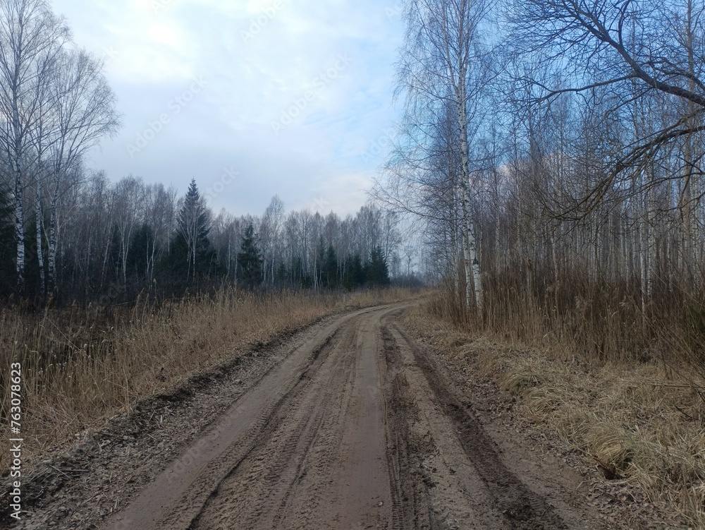 Road in forest in Siauliai county during cloudy early spring day. Oak and birch tree woodland. cloudy day with white clouds in blue sky. Bushes are growing in woods. Sandy road. Nature. Miskas. Road in forest in Siauliai county during cloudy early spring day. Oak and birch tree woodland. cloudy day with white clouds in blue sky. Bushes are growing in woods. Sandy road. Nature. Miskas.