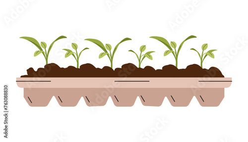 Vegetable seedlings growing at soil in pot. Green sprouts of plant. Gardening outdoor. Agriculture.