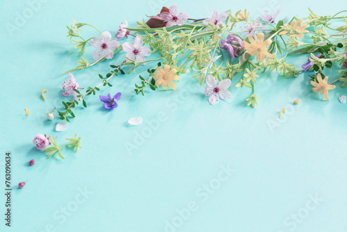 wild spring flowers on paper background