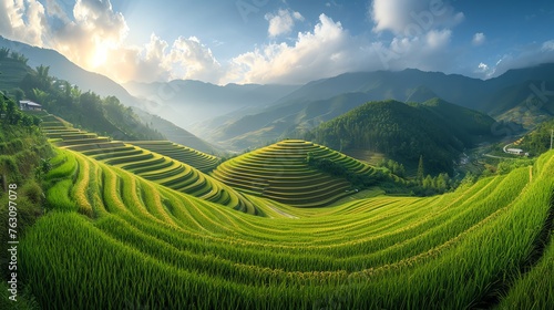 a sprawling rice field background © DudeDesignStudio