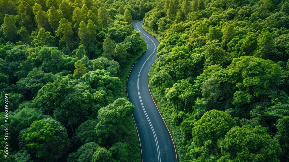 top view of winding road and beautiful forest view
