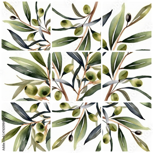olive branch background collage