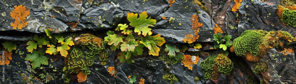 A detailed view of a vibrant moss-covered rock, showcasing the contrast between stone and plant life, A detailed view of a vibrant moss-covered rock, showcasing the contrast between stone and plant life,