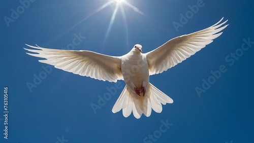 white dove in flight against the blue sky, closeup of photo