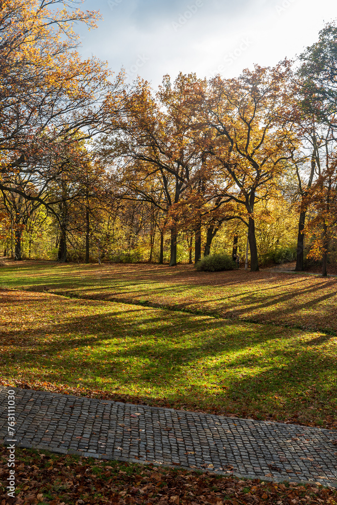 Autumn colorful public park with meadow, trees and path