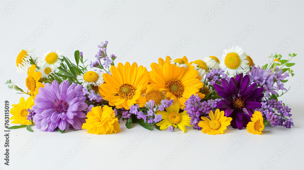 Yellow and lilac flowers on a white background. Summer