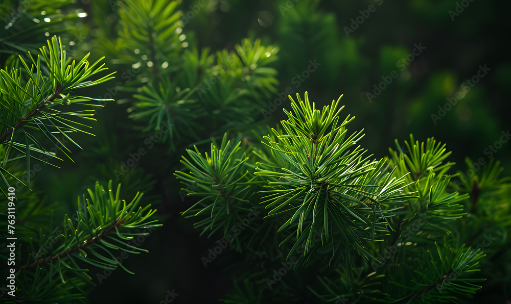 bright green pine in dark, Generative AI 