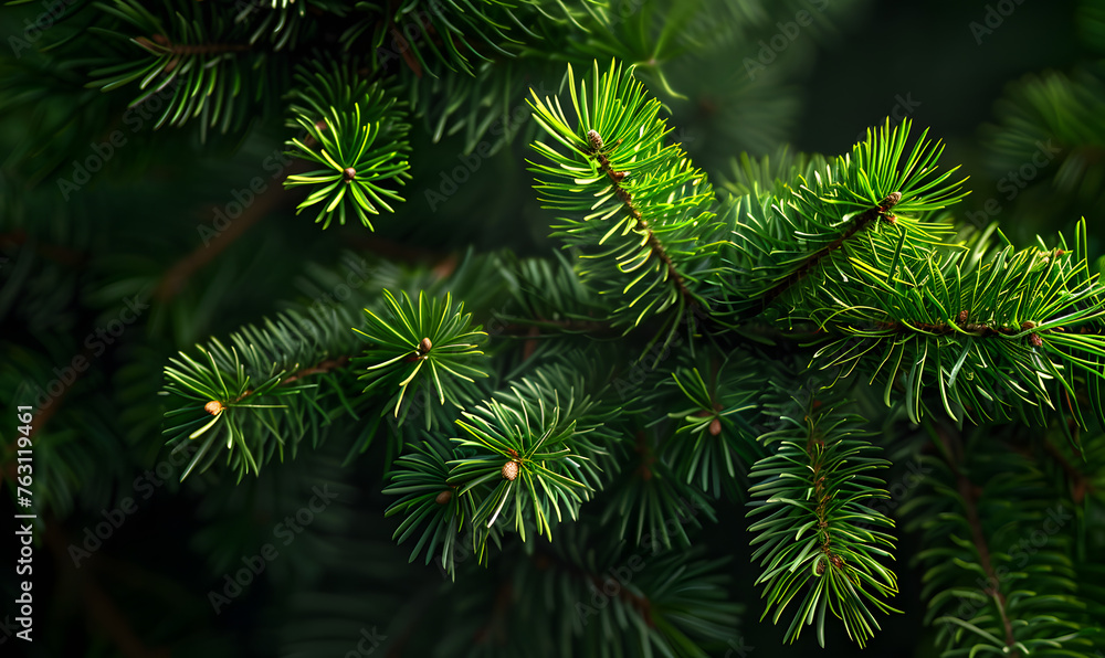 bright green pine in dark, Generative AI 