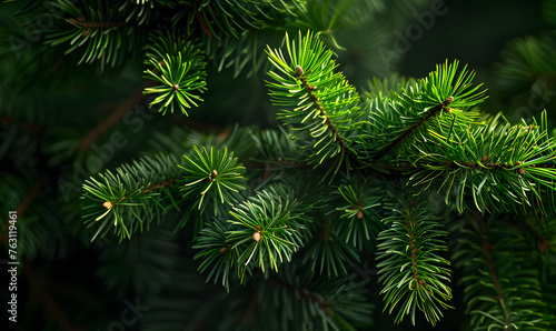 bright green pine in dark  Generative AI 