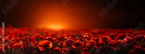 Dramatic Poppy flowers field. Anzac day banner. Remember for Anzac, Historic war memory. Anzac background. Poppy field, Remembrance day. photo