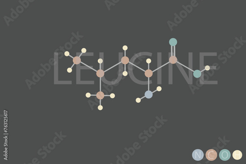  leucine molecular skeletal chemical formula