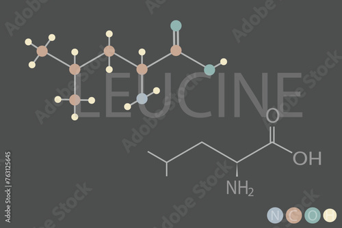  leucine molecular skeletal chemical formula