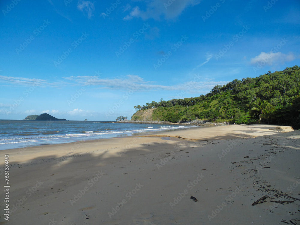 palm beach cairns australia with palm trees by the ocean with waves