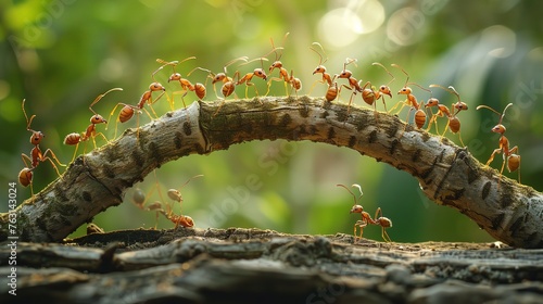 Collaborative effort, ant colony building a bridge. Generative Ai photo