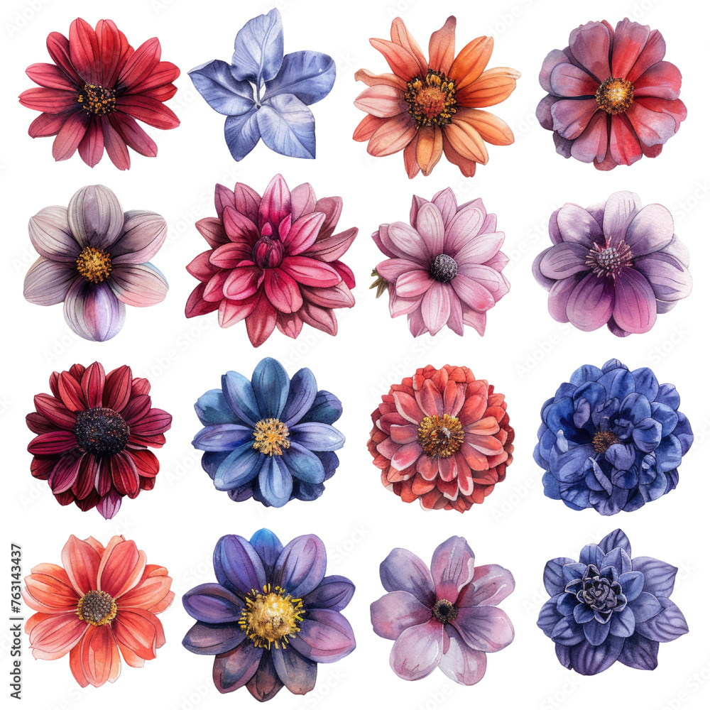Detailed Watercolor Flowers Isolated on Black
Detailed Watercolor Flowers Isolated on Black