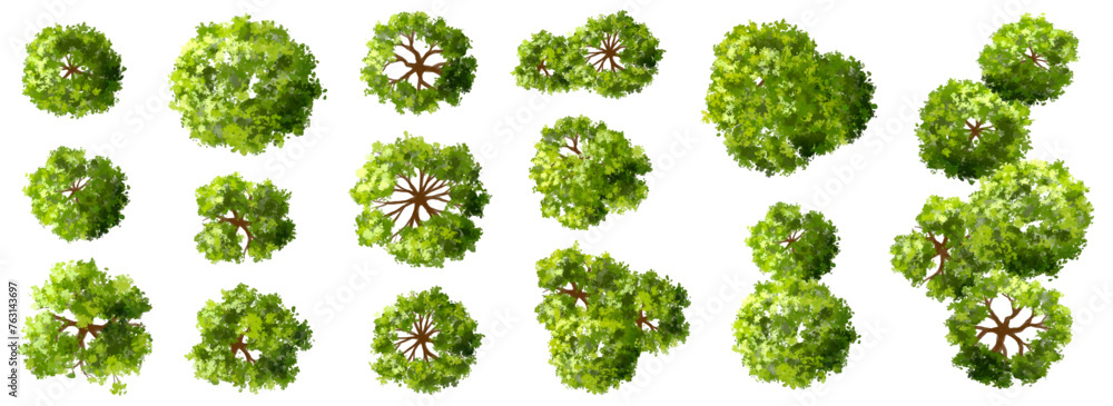 Vector watercolor green tree or forest top view isolated on white background for landscape plan and architecture drawing,plant for environment or garden,botanical element for exterior layout