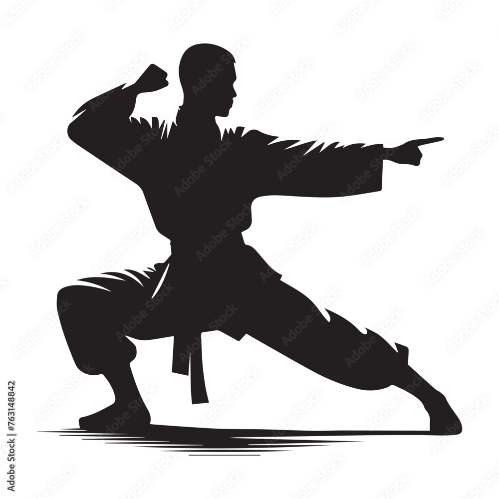 Silhouette of martial art. Kungfu, karate, taekwondo	
