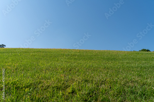 晴れた日の青空と草原