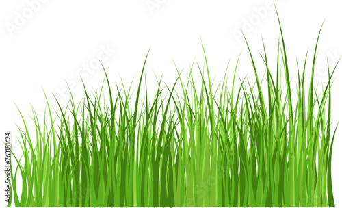 Easter background - Green grass meadow meadow border vector drawing. Spring summer plant field lawn plant. Grass background vector illustration.