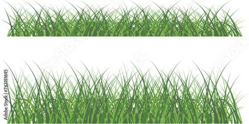 Easter background - Green grass meadow meadow border vector drawing. Spring summer plant field lawn plant. Grass background vector illustration.
