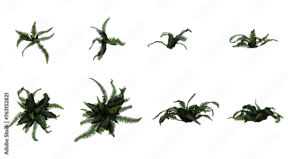 Collection Of Front And Top View Plant - Closeup View Green Plant PNG