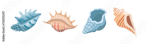 Sea shells vector set, mollusks. Flat illustration of various seashells on white background. Collection for stickers.
