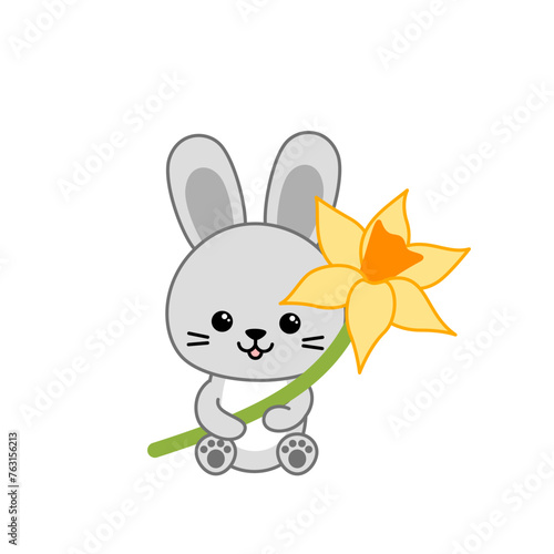 Leveret is holding big yellow narcissus. Bunny and spring flower. Cartoon, vector