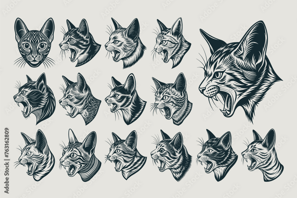 Collection of side view singapura cat head illustration design