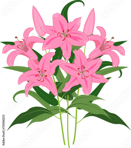 枝葉付きのピンクのユリの花