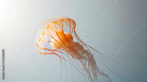 Aesthetic light brown-yellow jellyfish floating on a light background. Ocean ecosystem concept. Generative AI