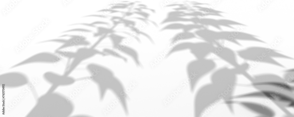 3D Render Plant And Tree Shadow 3D Render Plant And Tree Shadow