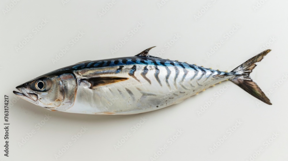 Whole Mackerel Fish Isolated on White Background, A fresh whole mackerel with distinctive blue patterns, isolated on a white background, perfect for culinary uses and healthy diets.