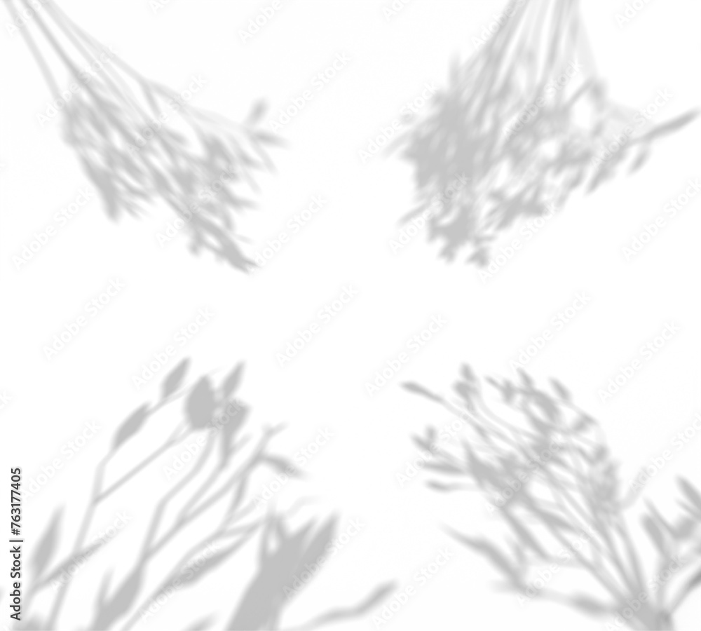 Fototapeta premium Four natural plant shadows with leaves and stems on a white background