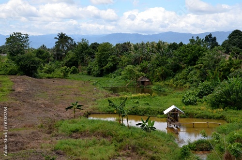 Landscape in Bogani Nani Wartabone National Park, Sulawesi, Indonesia, Asia.	 photo