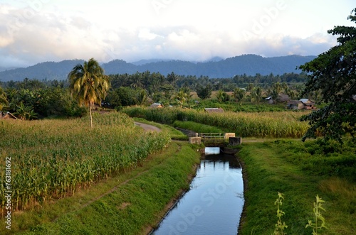 Landscape in Bogani Nani Wartabone National Park, Sulawesi, Indonesia, Asia.  photo