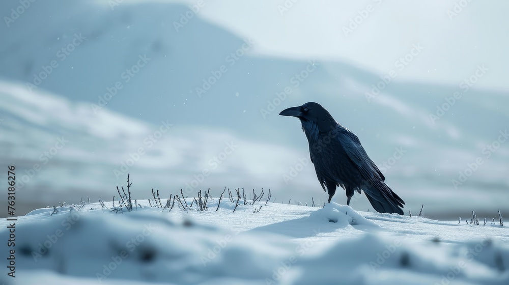 A single raven standing in a vast snow-covered wilderness AI generated illustration A single raven standing in a vast snow-covered wilderness AI generated illustration