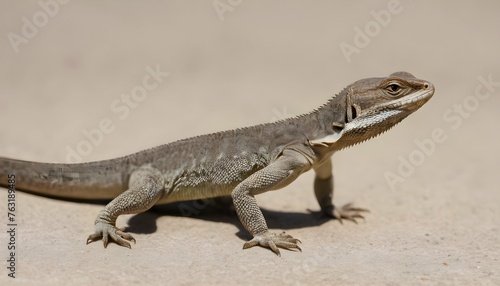 A Lizard In A Defensive Stance Tail Raised Upscaled 4
