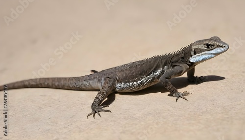 A Lizard With Its Legs Splayed Out As It Climbs Upscaled 2