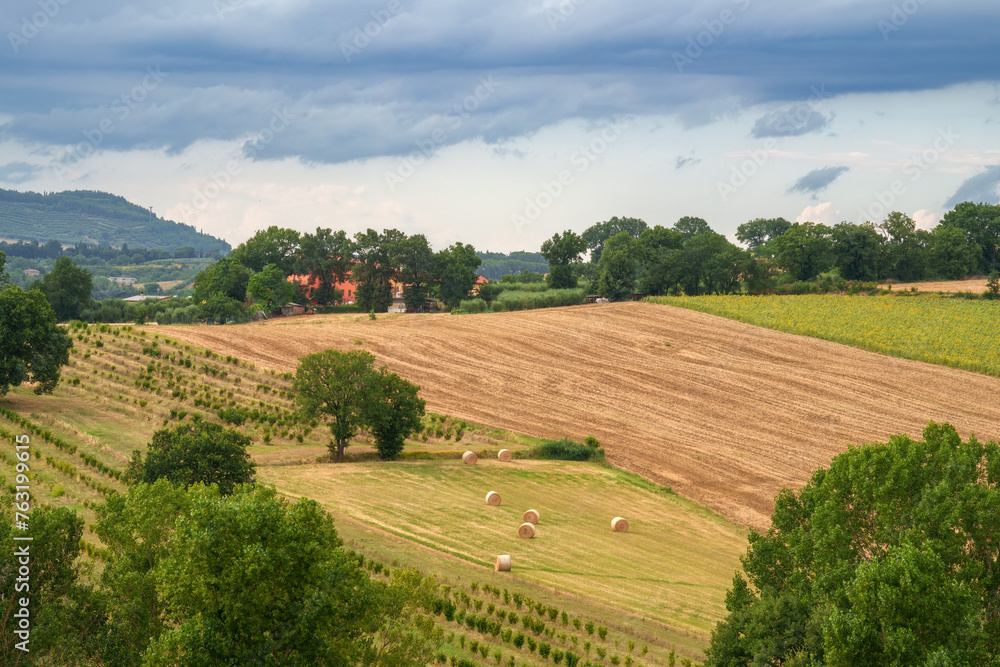 Rural landscape near Perugia at summer