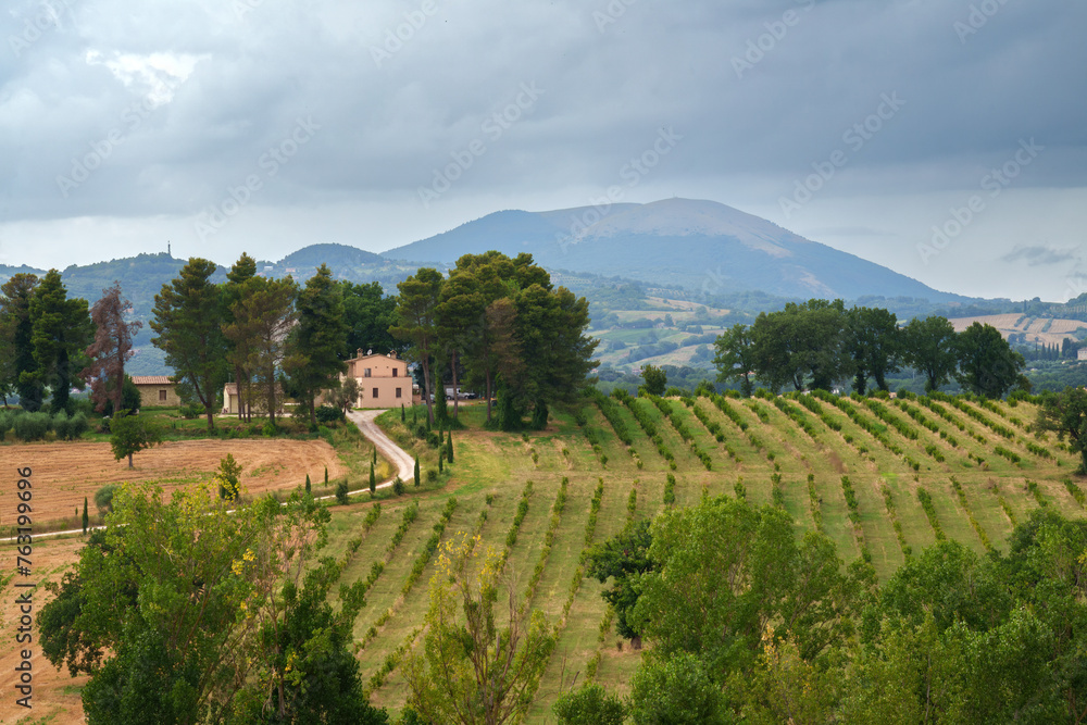 Rural landscape near Perugia at summer
