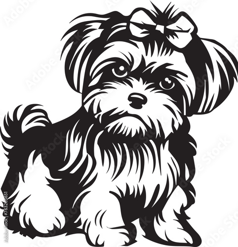 shih tzu dog puppy with bow