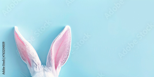 White rabbit ear on pastel blue background. Easter day. Space for text.