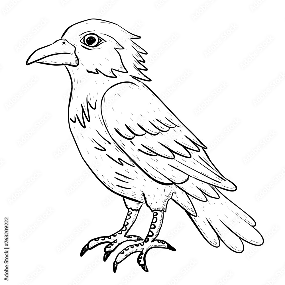 Fototapeta premium sketch of bird