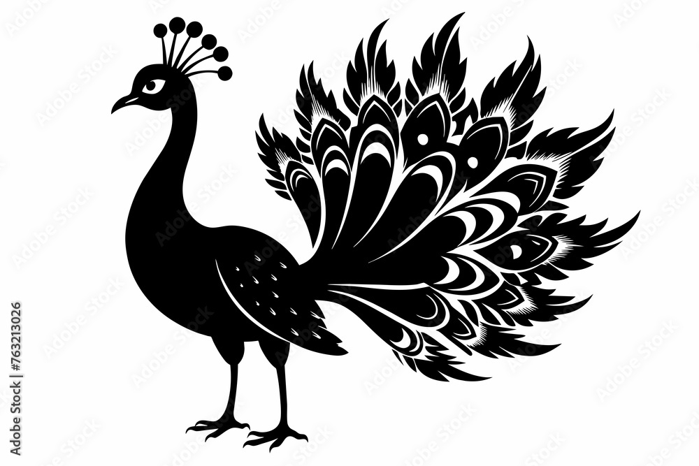 Fototapeta premium Peacock vector silhouette white background