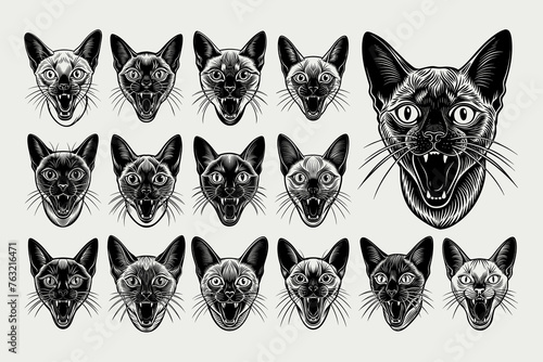 Flat detailed meowing tonkinese cat head tshirt design bundle