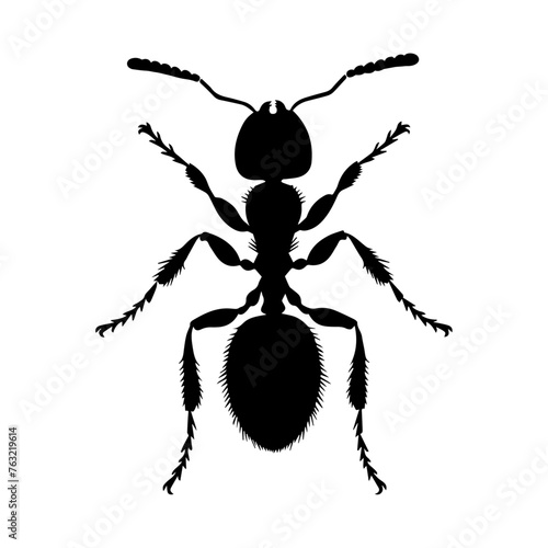 a silhouette of an ant on a white background