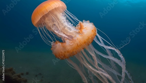 A Jellyfish In A Sea Of Shimmering Ocean Life Upscaled
